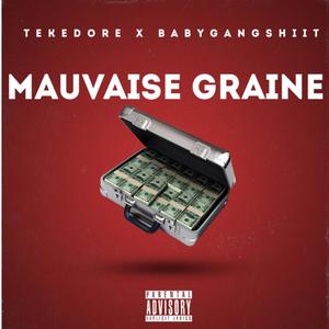 Mauvaise graine (feat. Babygangshiit) [Explicit]