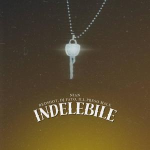 Indelebile (feat. RedShot, DJ Fato & Ill Preso Male|Explicit)