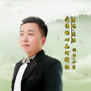 受伤的心如何释怀DJ