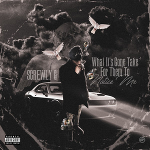 Screwly G - Not In You (Explicit)
