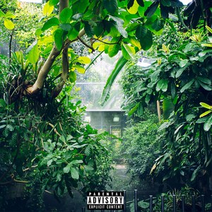 Оранжерея (Explicit)