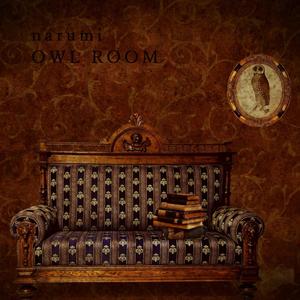 OWL ROOM