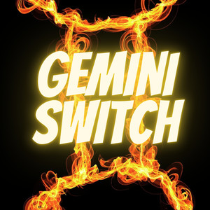 Gemini Switch