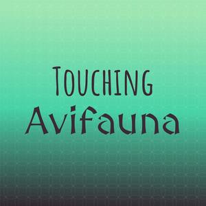 Touching Avifauna