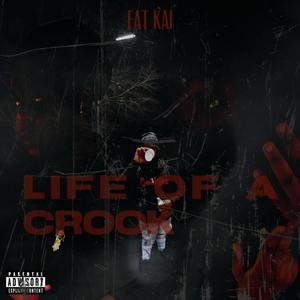 Life Of A Crook (Explicit)