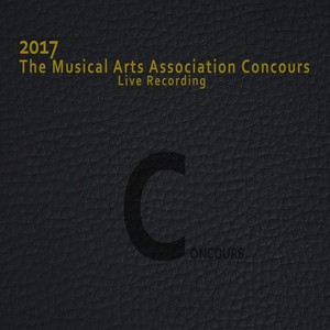 Schubert : Sonata Arpeggione in a minor D821, 1st Mov