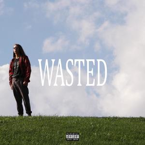 wasted (feat. nicomply) [Explicit]