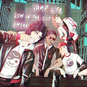 VAmP LiFe (Explicit)