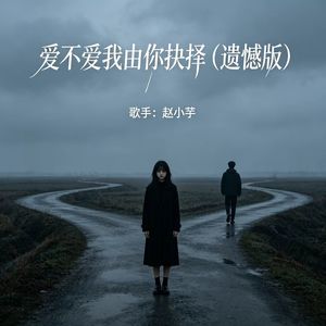 爱不爱我由你抉择 (遗憾版)