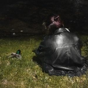 o polnoci kvitla lúka