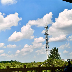 我好想现在就把你忘了