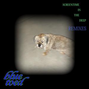 Screentime in the Deep (Remixes) [Explicit]