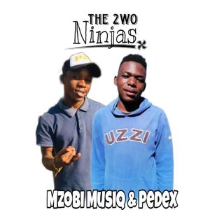 Thupa (feat. Mzobi Musiq, Pedex, Fellowchamp Rsa, Lucky Rose & Teko M & Dokotela)