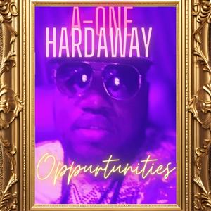 Opportunities (Explicit)