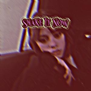 SHAKE IT NOW + SP33D (slink Remix|Explicit)