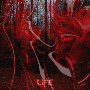 Life (Explicit)