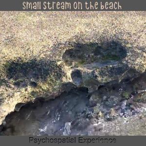 Psychospatial Experience - Small Stream On the Beach (feat. Esteban Pinero)