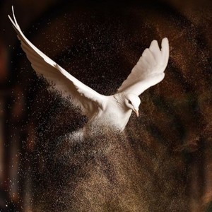 GUSII CREATIVES - Nita Amini