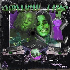 HOLLOW TIPS (feat. Graverobshawty) [Explicit]