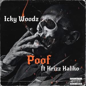 Poof (feat. Krizz Kaliko) (Explicit)