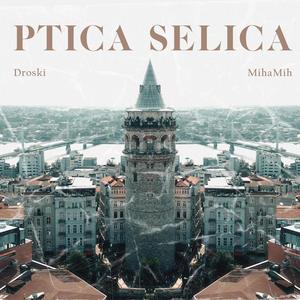 Ptica Selica (feat. MihaMih)