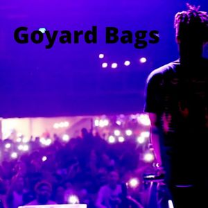 Goyard Bags (Explicit)
