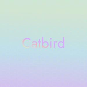 Catbird