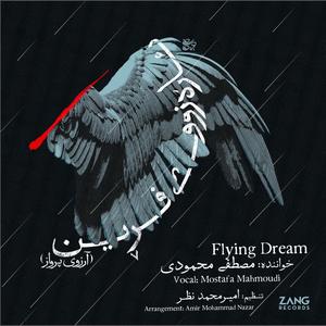 Flying Dream