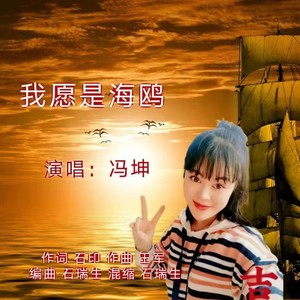 我愿是海鸥 (伴奏)