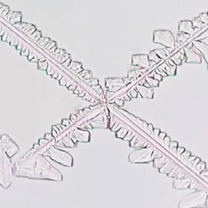 woah! (with intro) (Explicit)