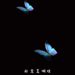 新鸳鸯蝴蝶