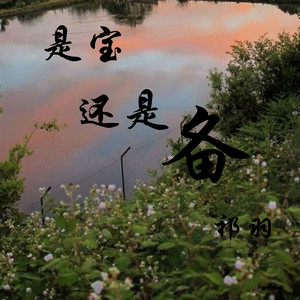 是宝还是备 (伴奏)
