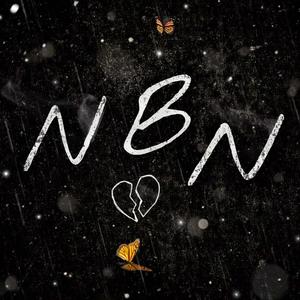 NBN ARCHIVE V1 (Explicit)