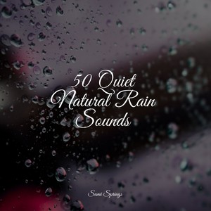 Loopable Rain - Rainy Woodland Ambience