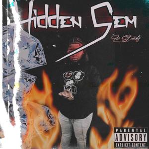 Hidden Gem (Explicit)