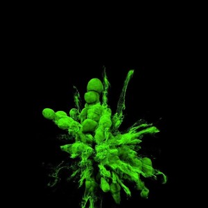 Go kamikaze (feat. Iamnutzo) (Explicit)