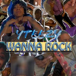 Wanna Rock (Explicit)