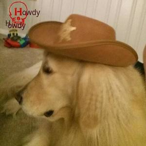 Howdy