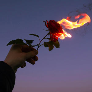 Burning Flowers