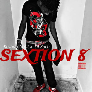 Section 8 (feat. Lil Zach)