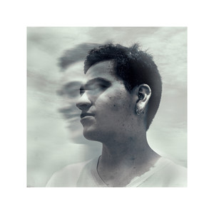 Mary's Crow - Trying