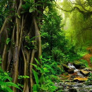 amazon prime (Explicit)