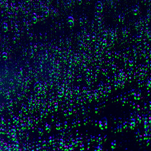 Wipe Away Your Tears