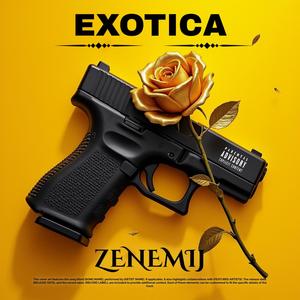 Exotica (Explicit)