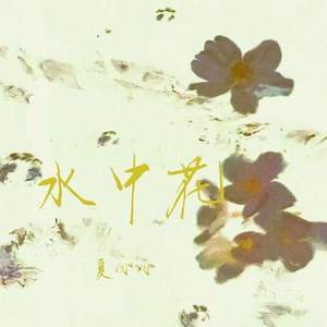 水中花 (这纷纷飞花已坠落)
