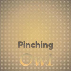 Pinching Owl