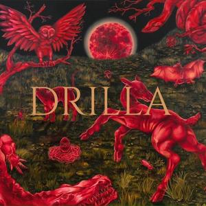 DRILLA