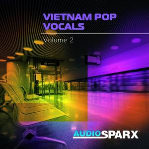 Vietnam Pop Vocals Volume 2