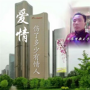 爱情伤了多少有情人