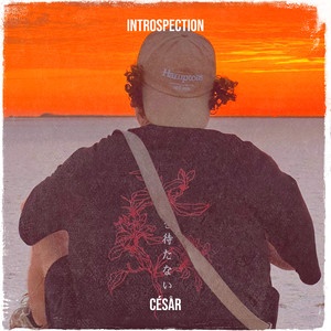 Introspection (Explicit)